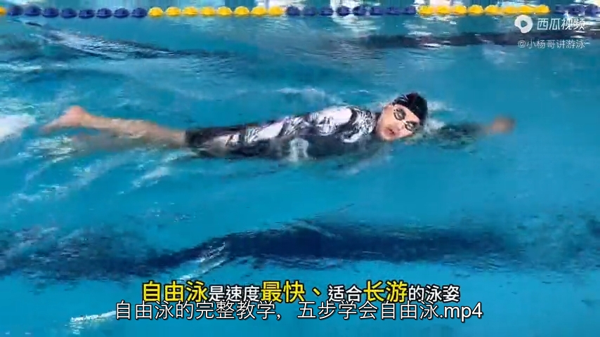 自由泳的完整教学，五步学会自由泳